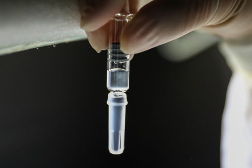 巴西研究機(jī)構(gòu) 中國科興疫苗能有效抵抗兩種變異新冠病毒