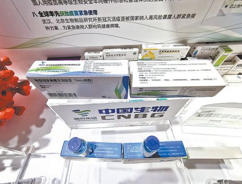 漢產(chǎn)新冠疫苗服貿(mào)會上預(yù)約接種 觀眾熱情掃碼擠崩預(yù)約系統(tǒng)