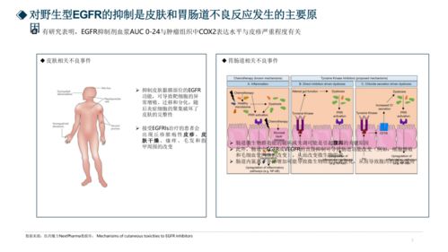 2021AACR新機(jī)會(huì)分析