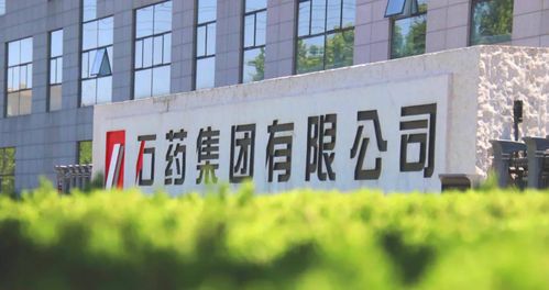 創(chuàng)新百強(qiáng) 綠色工廠 石藥兩子公司獲殊榮