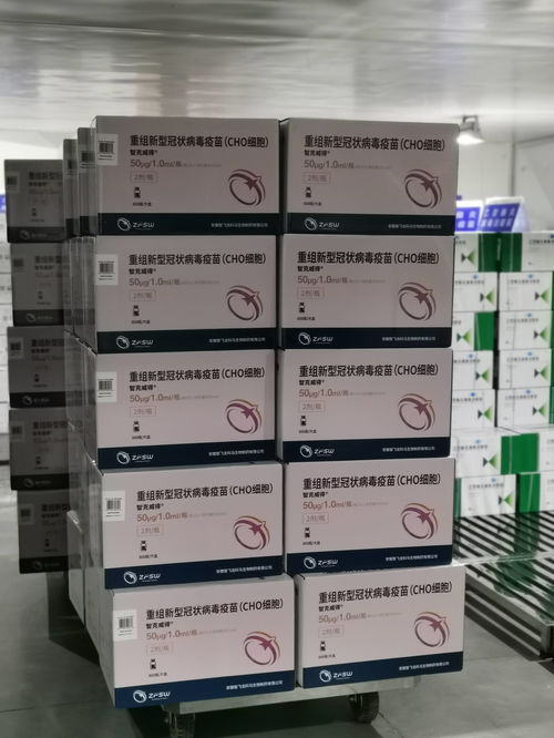 好消息 60萬支 三針法 新冠疫苗已抵達(dá)廣東