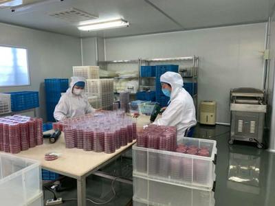 送政策、送口罩、幫復(fù)工 政府幫助虹口這家企業(yè)3天研制出病毒采樣管