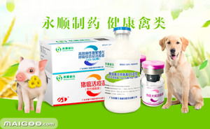 永順疫苗品牌簡介 永順豬用疫苗 永順禽用疫苗怎么樣 十大品牌網(wǎng)
