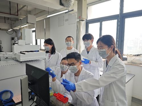 上海大學(xué)科研團(tuán)隊(duì)研發(fā)出兩款高活性多肽基敷料 照亮糖尿病足護(hù)理之路