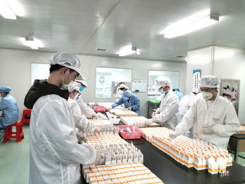 逆風強勢出海 高新區(qū)麓谷醫(yī)藥企業(yè)奏響外貿 春之序曲