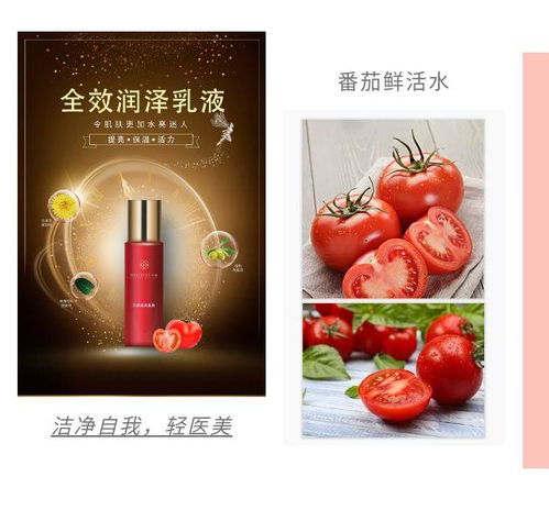 全麗產品最前線 全麗最新研發(fā)成果全新top系列 下篇