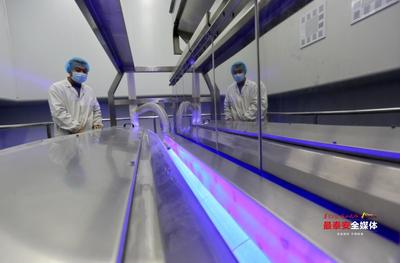 山東省行業(yè)領軍企業(yè)家丨山東潤德生物科技董事長盧偉:以創(chuàng)新謀生存 以創(chuàng)新促發(fā)展